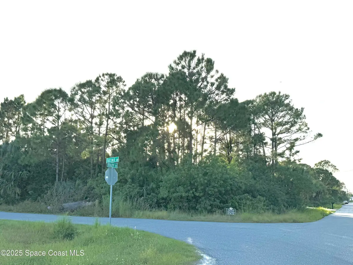 175 Foley Street Se, Palm Bay, FL 32909 - Image #1