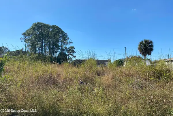 2612 Palmer Avenue Se, Palm Bay, FL 32909