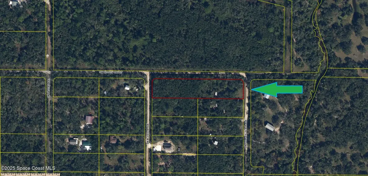 2006 SW Blossom Avenue, Arcadia, FL 34266 - Image #1