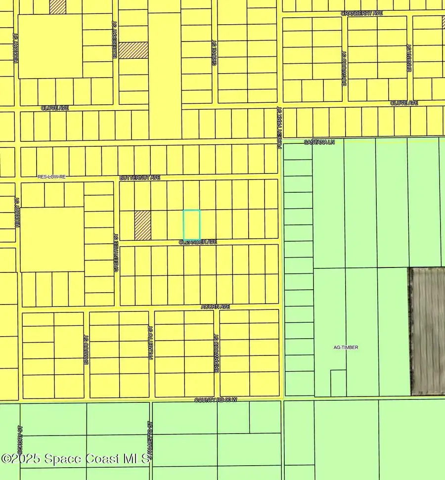 4132 Orleander Avenue, Bunnell, FL 32110 - #3