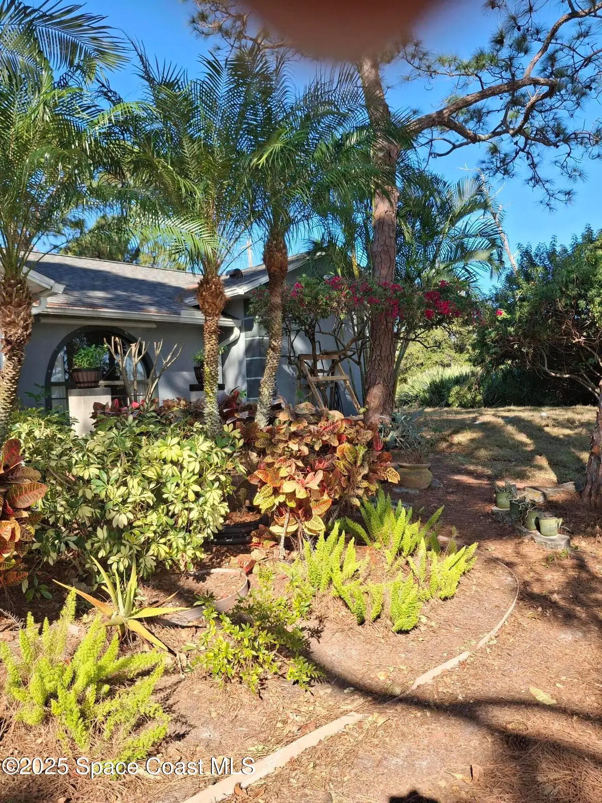 1407 SE Valerius Street Se, Palm Bay, FL 32909 - Image #1