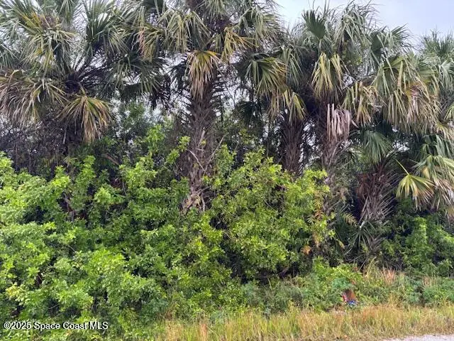 1341 Laredo Street Sw, Palm Bay, FL 32908 - Image #1