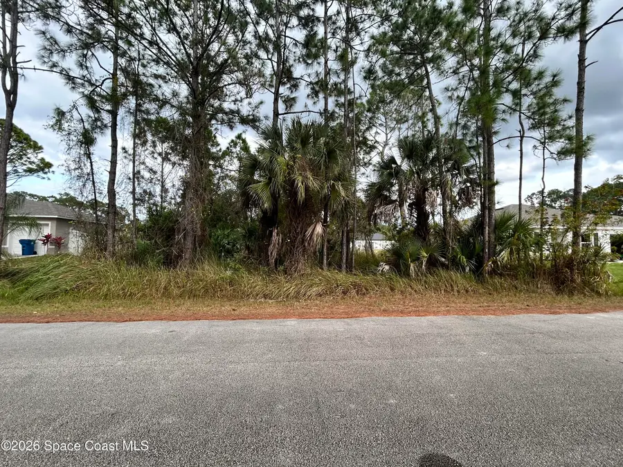 843 Natroma Avenue Sw, Palm Bay, FL 32908 - Image #2