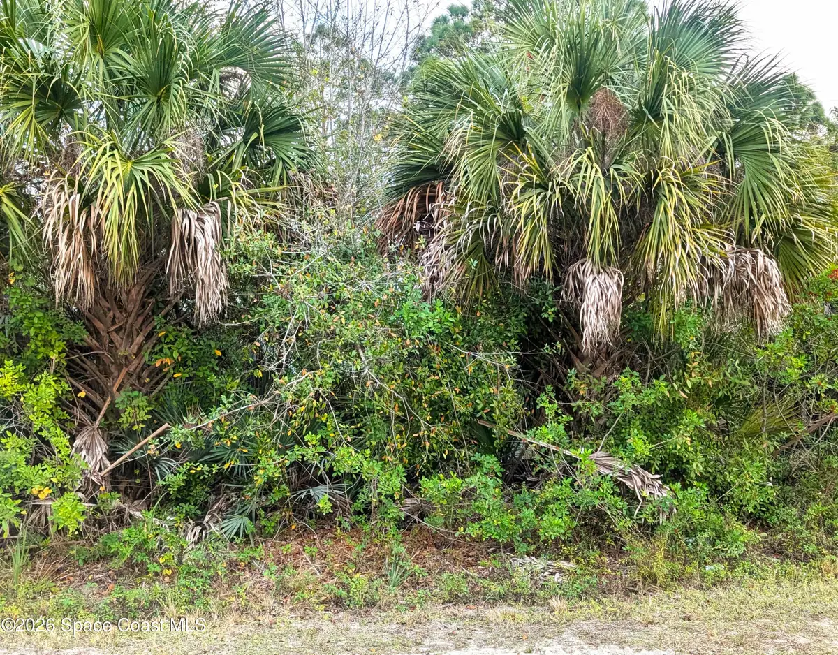 12885 86th Street, Fellsmere, FL 32948 - #1