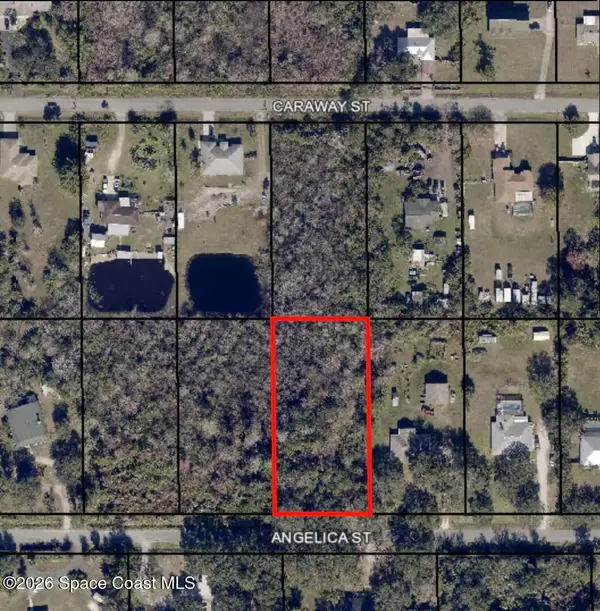 3324 Angelica Street, Cocoa, FL 32926