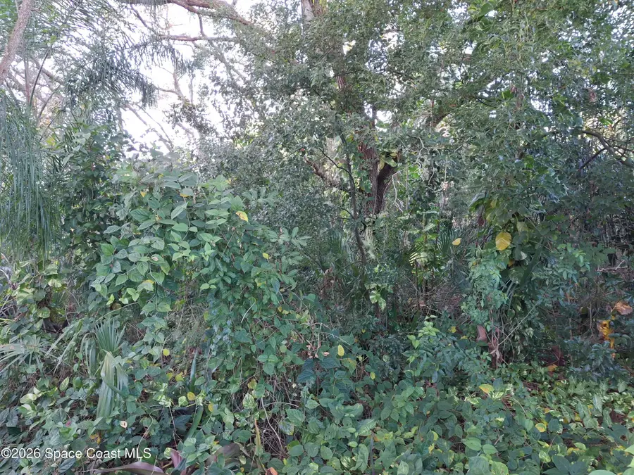 4824 Curtis Boulevard, Cocoa, FL 32927 - Image #3