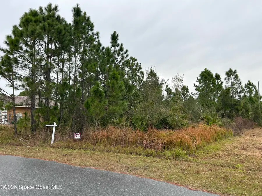 2991 Tinley Road Se, Palm Bay, FL 32909 - #2