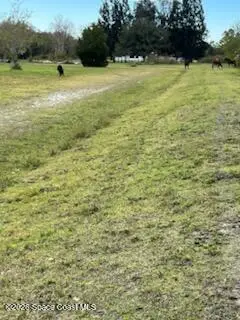 430 S Canoe Creek Road, Kenansville, FL 34739 - #3