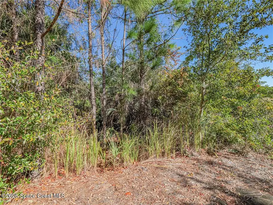 548 Saragassa Avenue Sw, Palm Bay, FL 32908 - Image #3