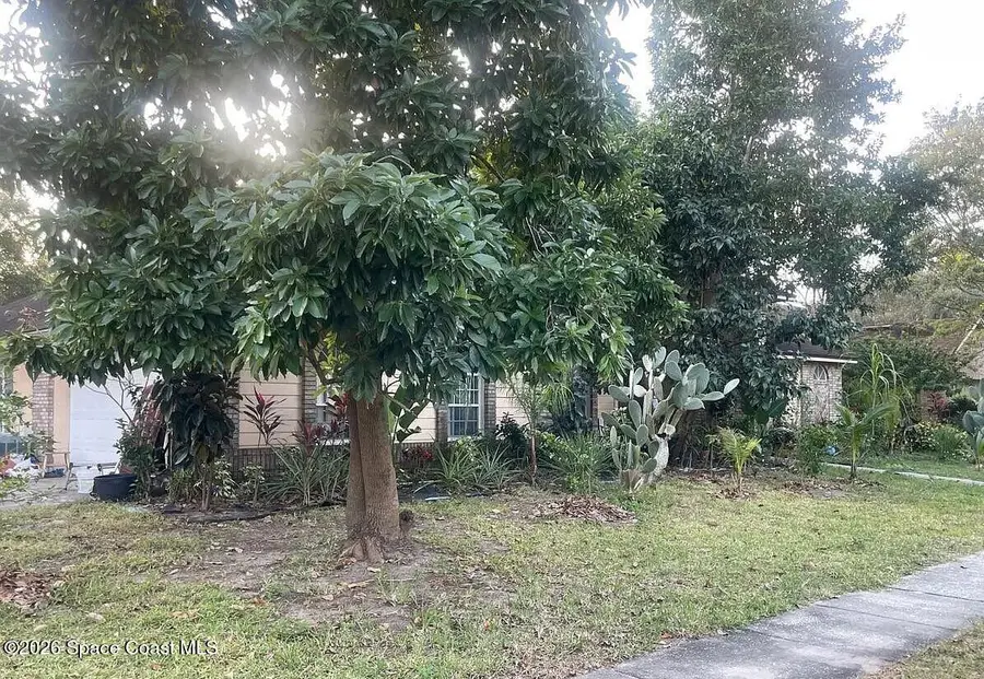1424 Center Street, Ocoee, FL 34761 - Image #3