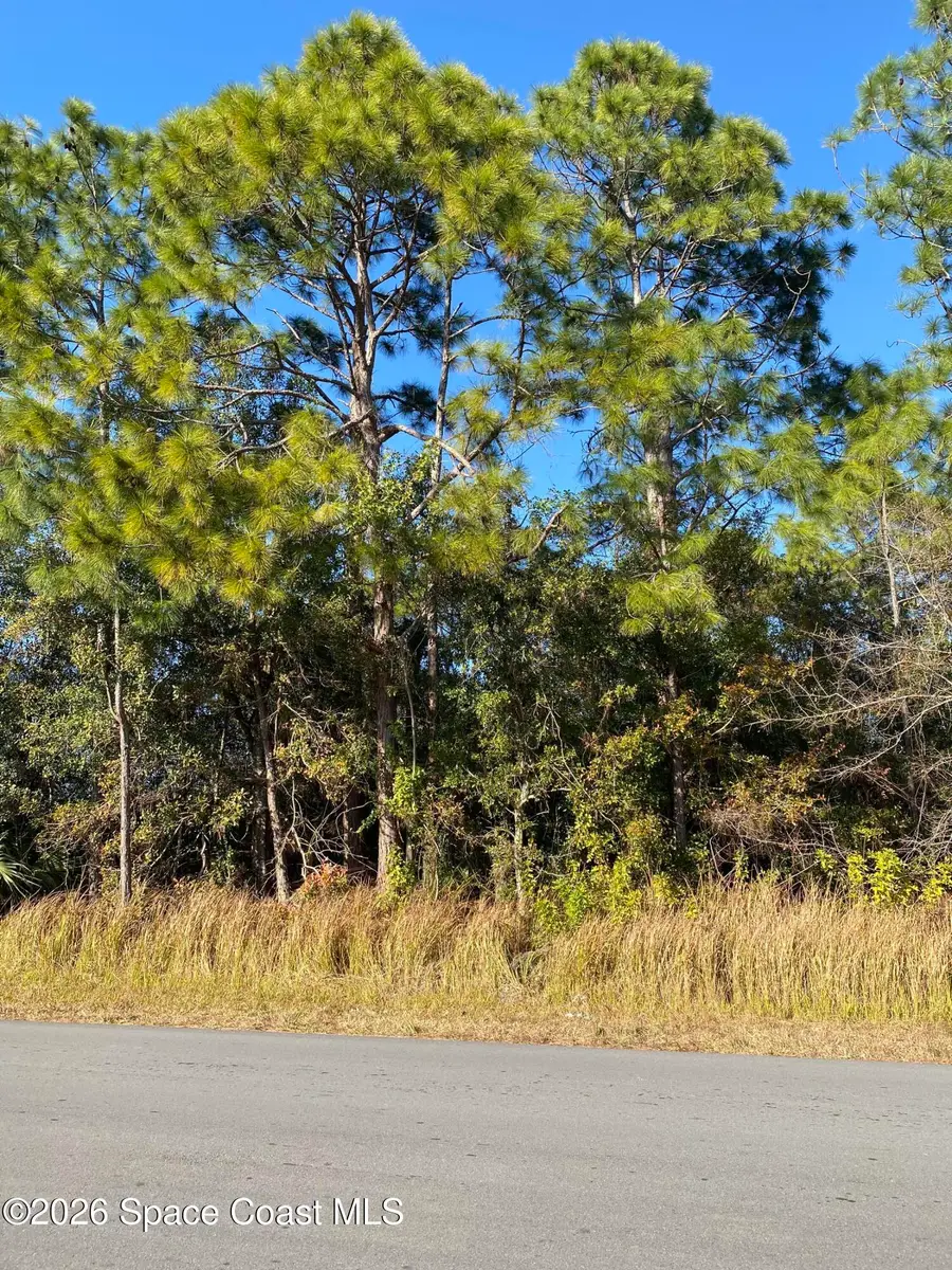 2195 Ramsdale Drive Se, Palm Bay, FL 32909 - #2