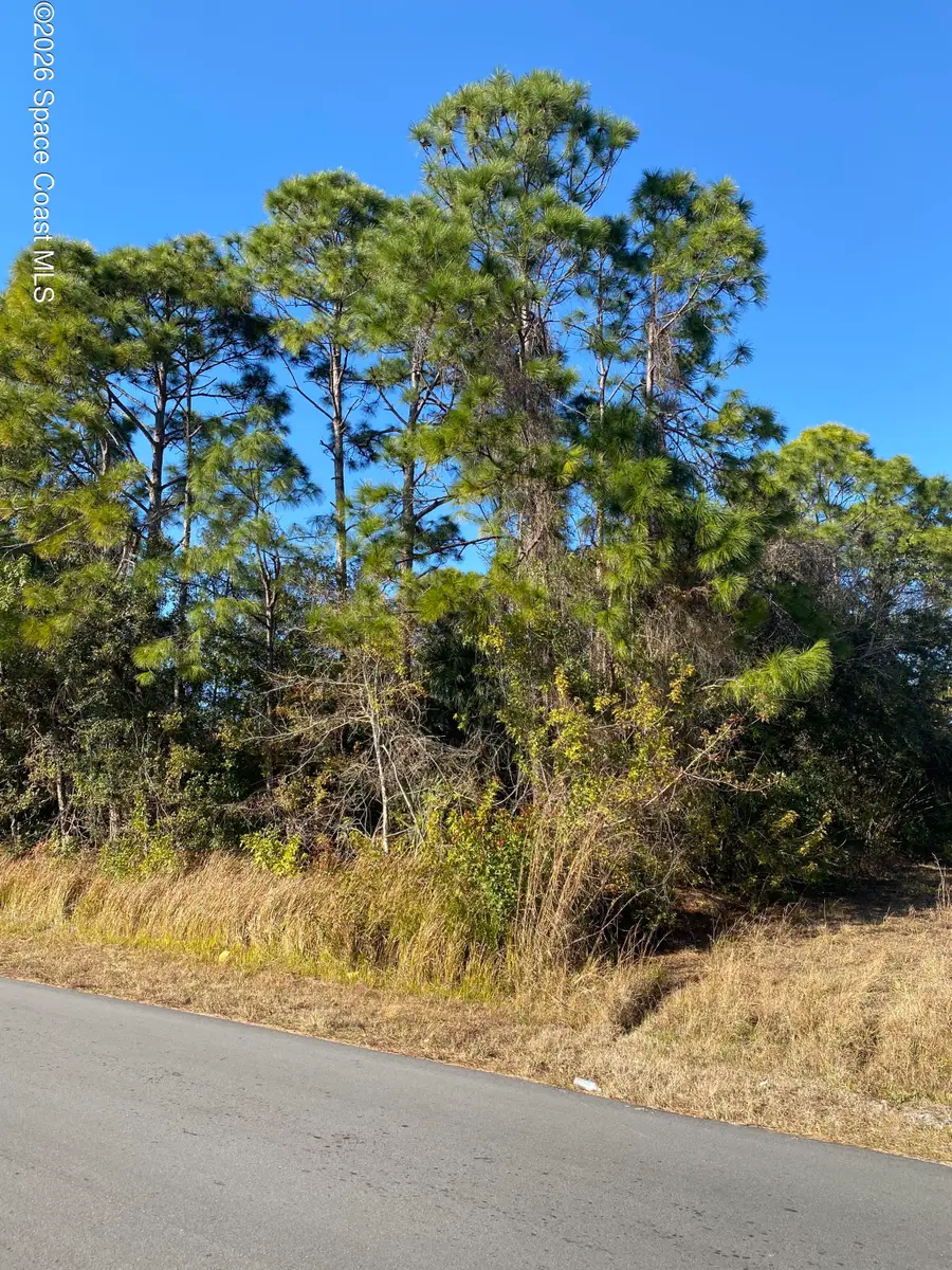 2195 Ramsdale Drive Se, Palm Bay, FL 32909 - #3