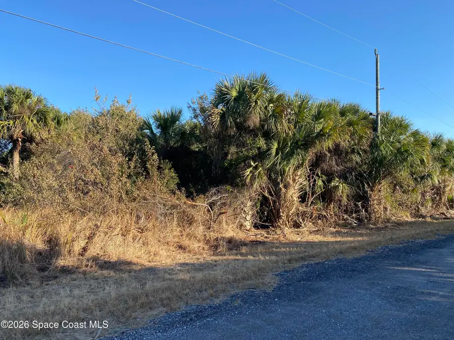 2189 Begonia Avenue Sw, Palm Bay, FL 32908 - Image #2