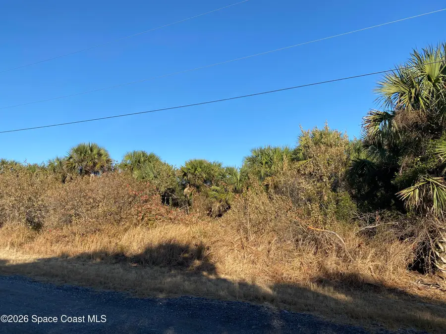 2189 Begonia Avenue Sw, Palm Bay, FL 32908 - Image #3