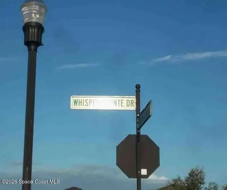 33291 Whisper Pointe Drive, Wesley Chapel, FL 33545 - #3