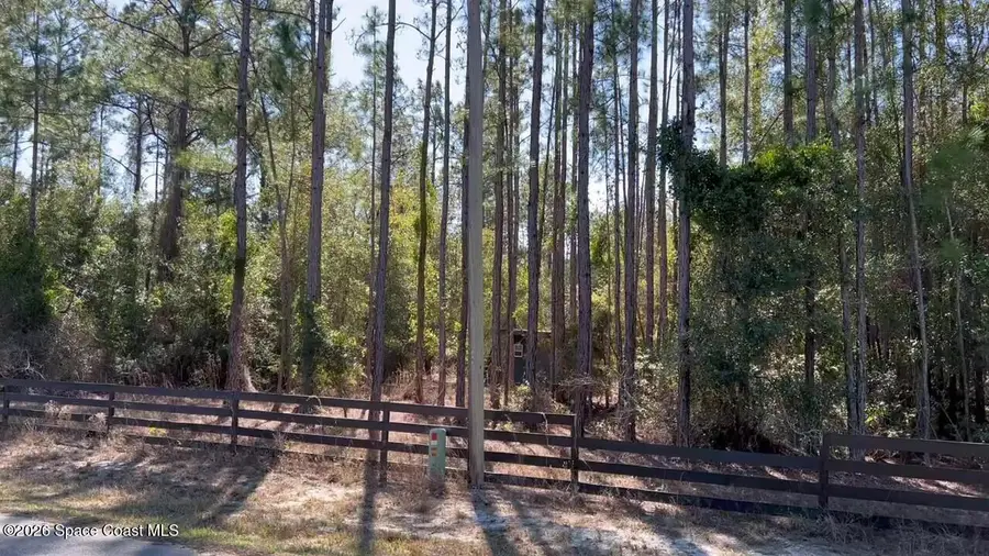 181 Lakeway Drive, Georgetown, FL 32139 - #3