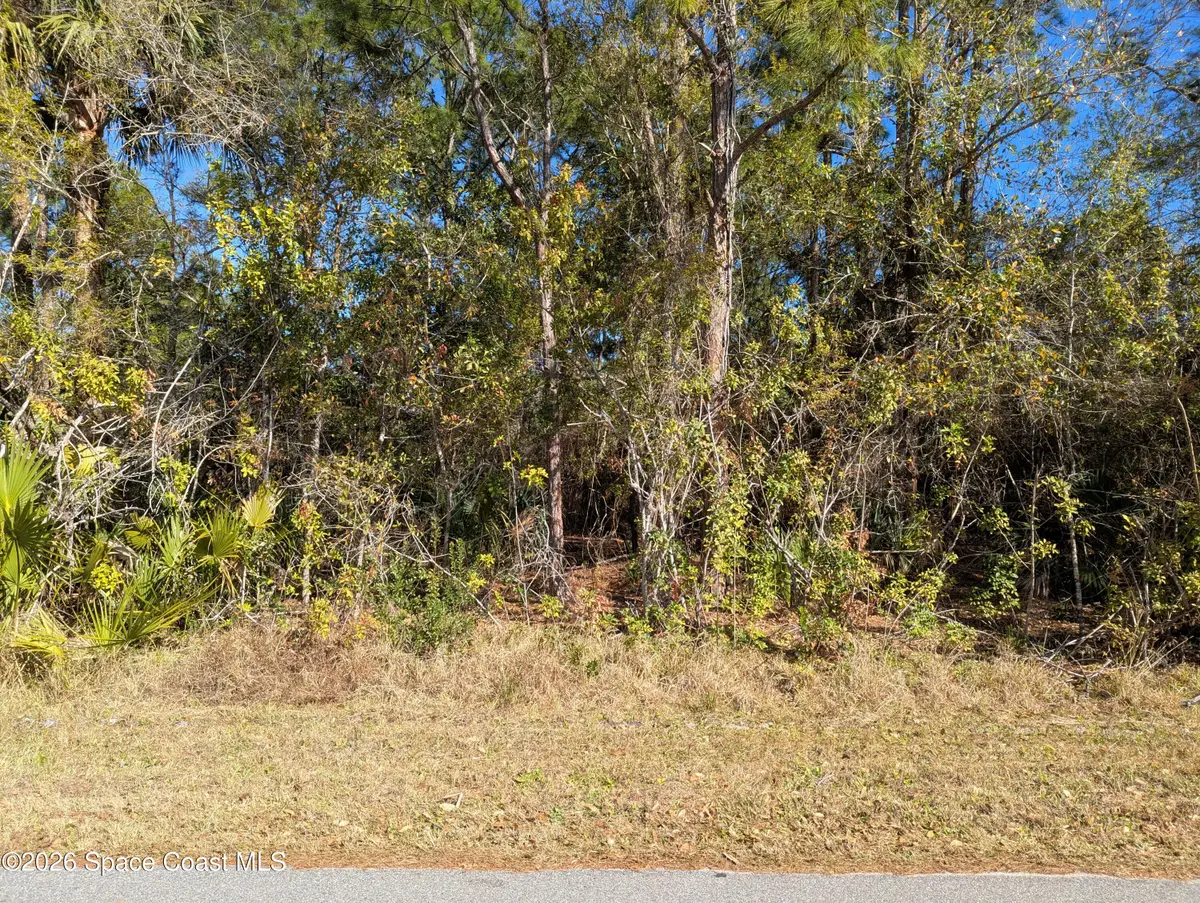 1611 San Diego Street Se, Palm Bay, FL 32909 - #1