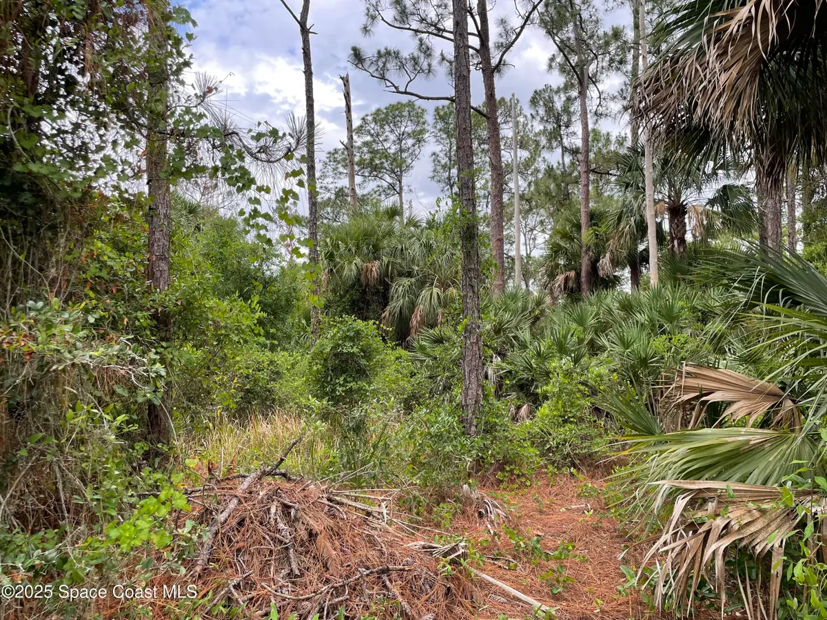 662 Sanford Street Sw, Palm Bay, FL 32908 - #1