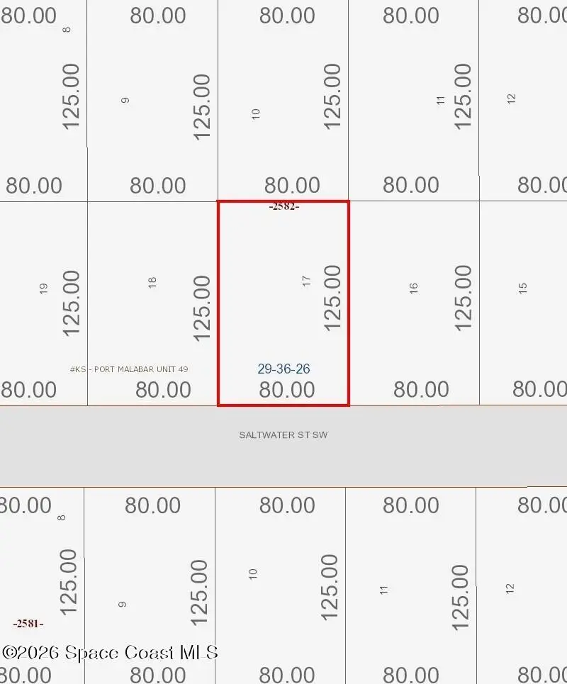 827 Saltwater Street Sw, Palm Bay, FL 32908 - #2
