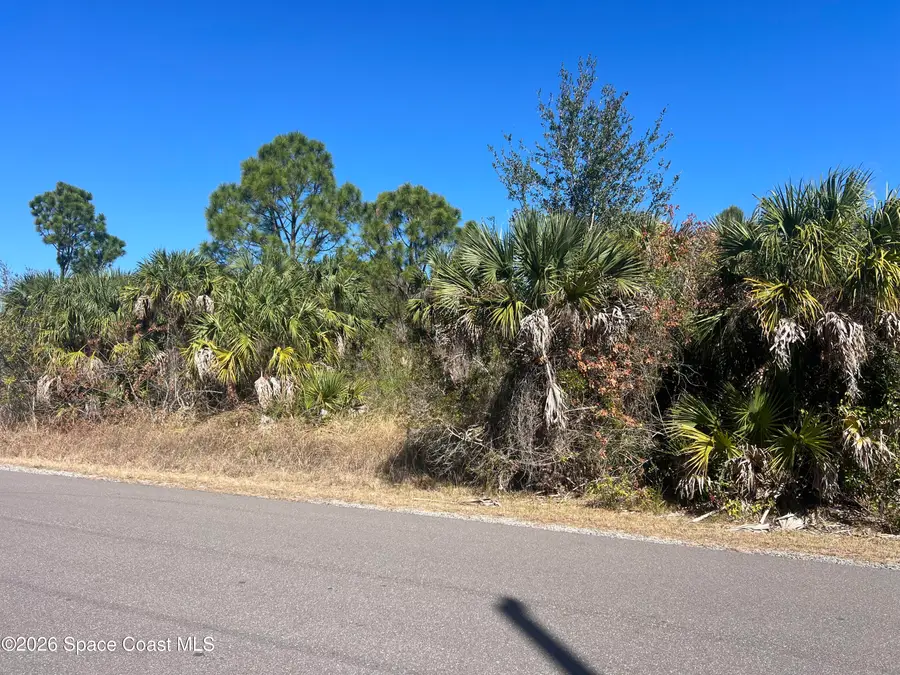 541 La Goy Street Sw, Palm Bay, FL 32908 - #3