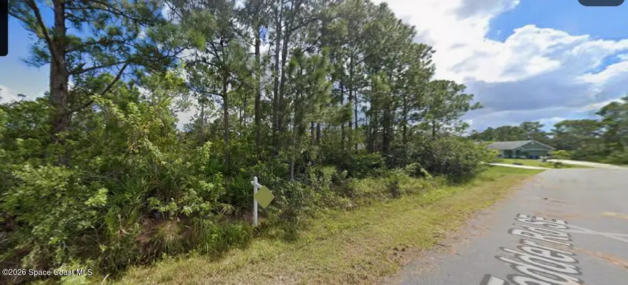 862 Tedder Road Se, Palm Bay, FL 32909 - #2