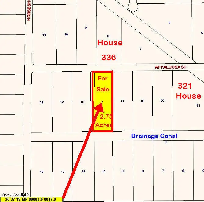 337 Appaloosa Street, Palm Bay, FL 32909 - #2