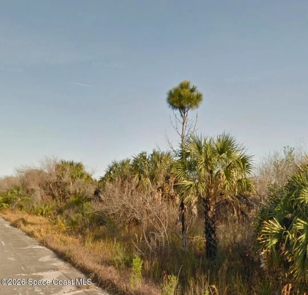 2994 Woodstock Drive Sw, Palm Bay, FL 32908 - #1