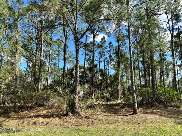 602 Flynn Street Se, Melbourne, FL 32909