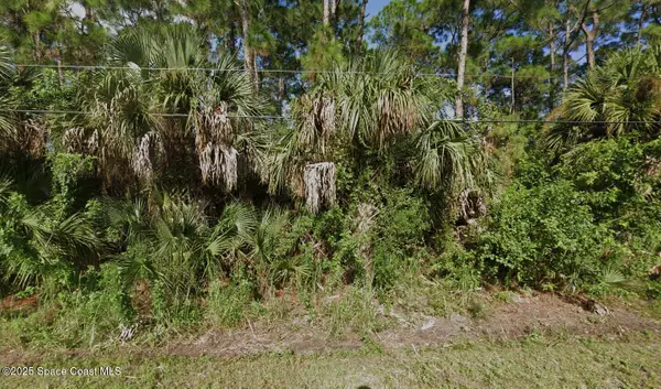 1067 Harlingen Road Sw, Palm Bay, FL 32908