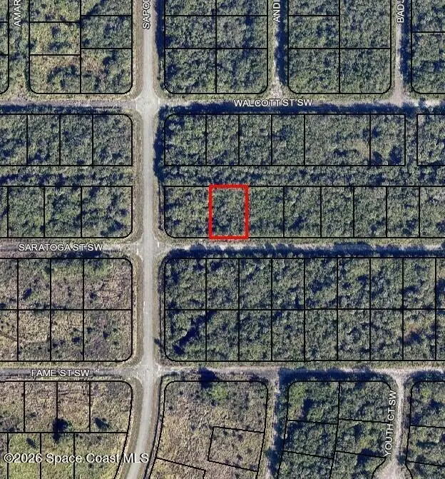 985 Saratoga Street Sw, Palm Bay, FL 32908 - #1