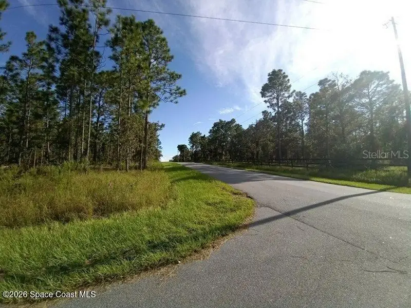 000 NW Amberjack Avenue, Dunnellon, FL 34432 - #3
