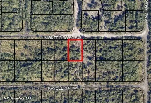 1440 Montecito Street Sw, Palm Bay, FL 32908 - #1