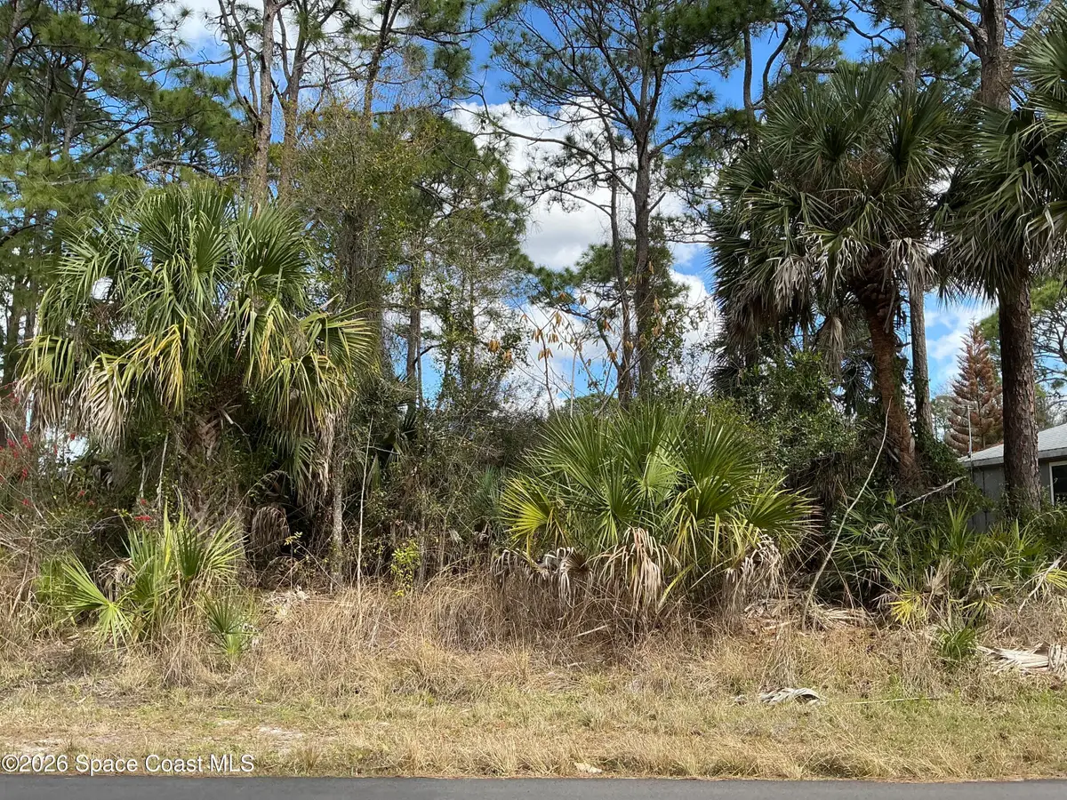 485 Gephart Street Sw, Palm Bay, FL 32908 - #1