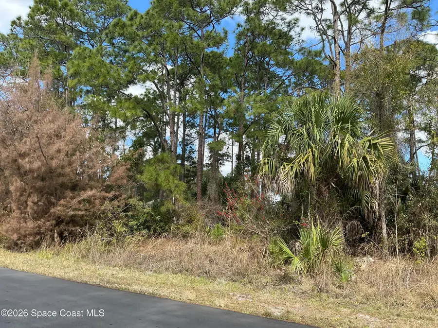 485 Gephart Street Sw, Palm Bay, FL 32908 - #3