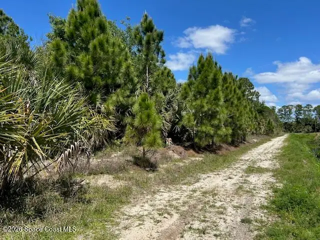 00 Vars St Street Nw, Palm Bay, FL 32907 - #3