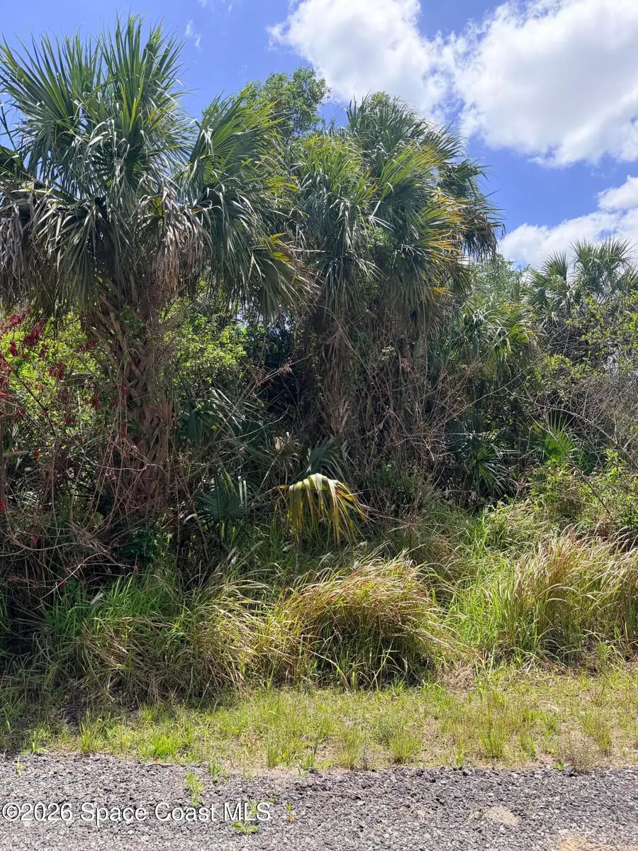 708 Parrotfish Street Sw, Palm Bay, FL 32908 - #2