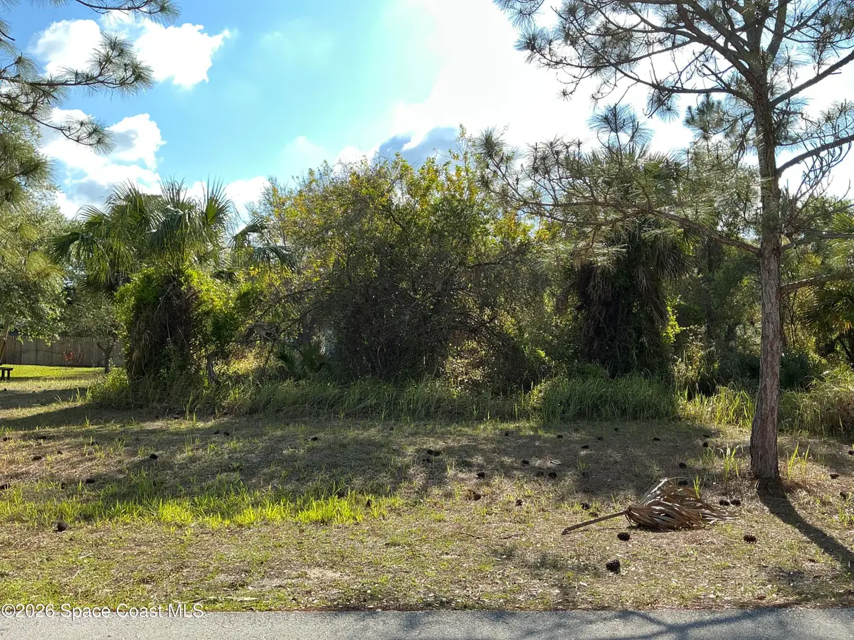 1741 Hamilton Avenue Sw, Palm Bay, FL 32908 - #1