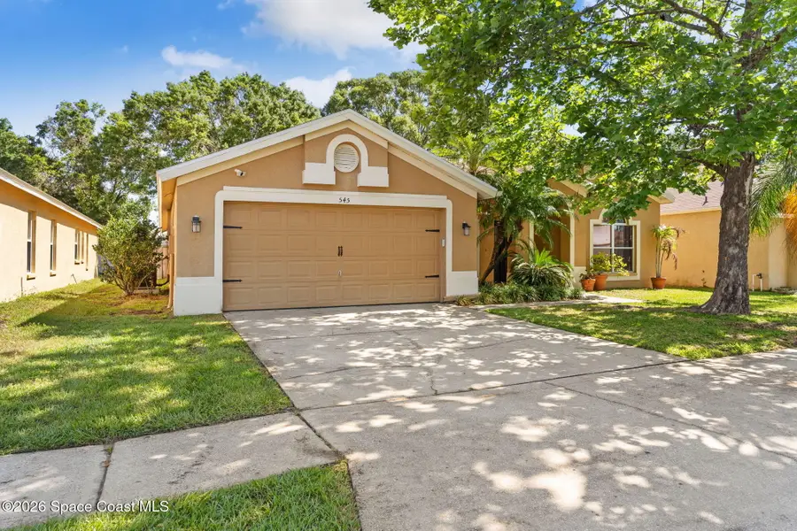 545 Tuscanny Street, Brandon, FL 33510 - #3