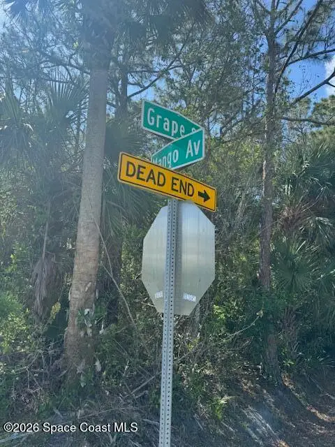 0 Grape And Mango Street, Cocoa, FL 32926 - #3
