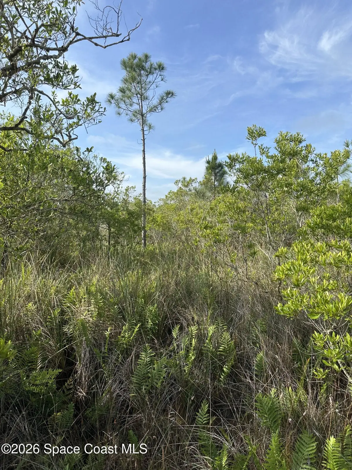 0 Unknown Avenue, Cocoa, FL 32926 - #1