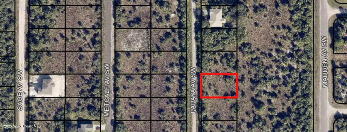 3159 Papaya Avenue, Palm Bay, FL 32909 - #1