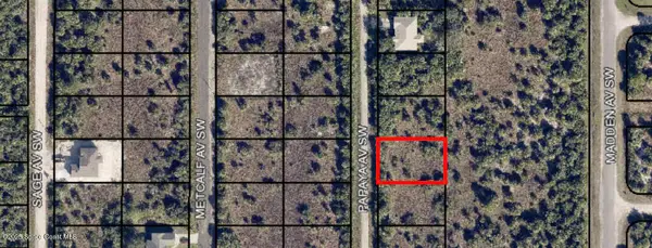 3159 Papaya Avenue, Palm Bay, FL 32909