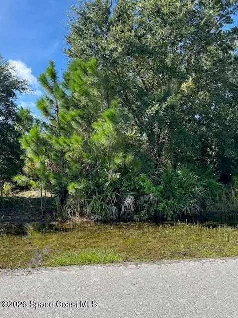 474 Gantry Street Sw, Palm Bay, FL 32908 - #3