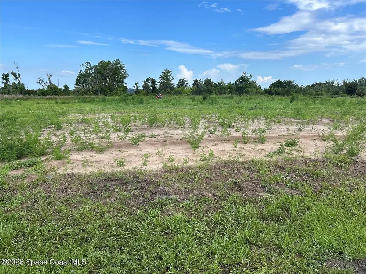 12942 Stillwater Cove Drive, Astatula, FL 34705 - #1