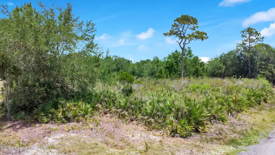 11 Golfview Avenue, Cocoa, FL 32927 - #3