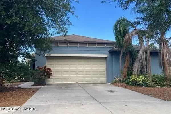 12625 Lemon Pepper Drive, Riverview, FL 33579