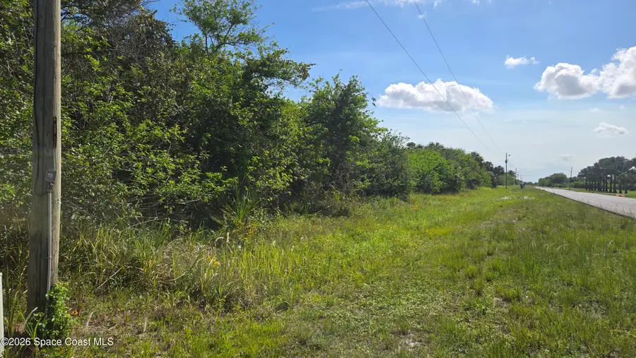 321 Buckskin Street, Palm Bay, FL 32909 - #3