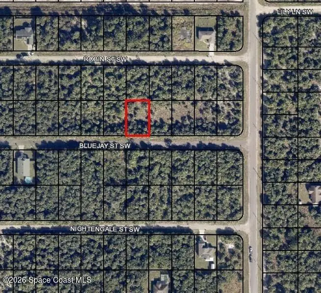 839 Bluejay Street Sw, Palm Bay, FL 32908 - #1