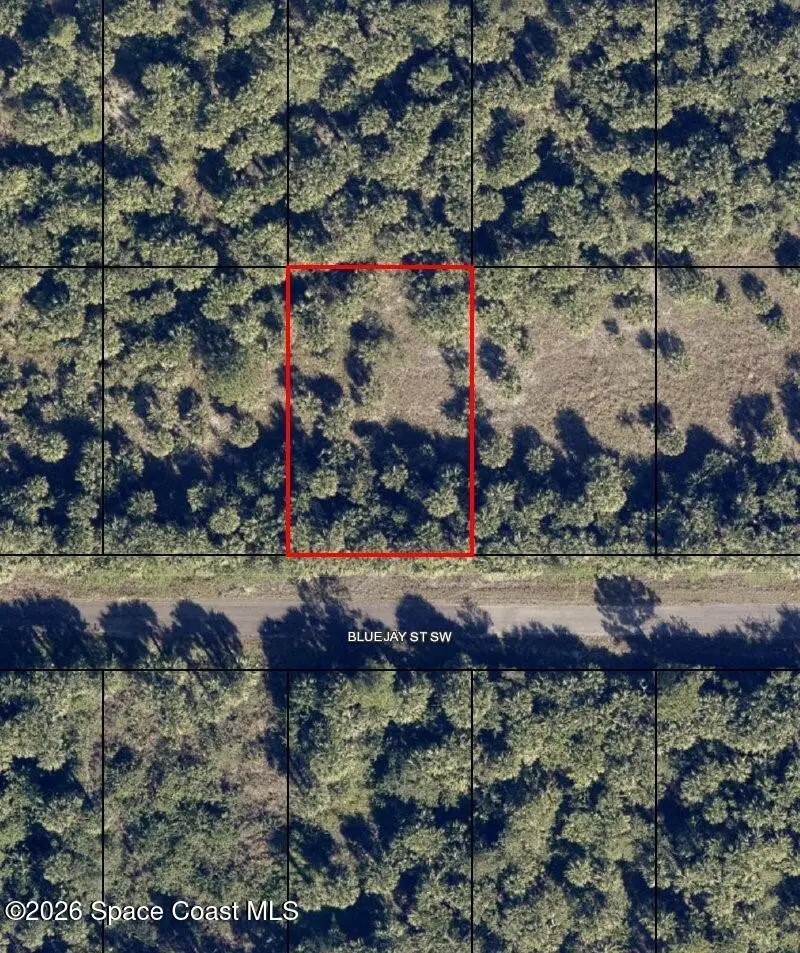 839 Bluejay Street Sw, Palm Bay, FL 32908 - #3