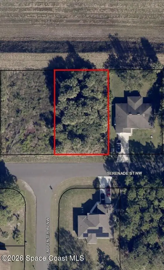 1049 Serenade Street Nw, Palm Bay, FL 32907 - #3
